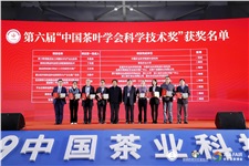 我司“柔性化茶葉加工成套裝備”榮獲“第六屆中國茶葉學(xué)會(huì)科學(xué)技術(shù)獎(jiǎng)”